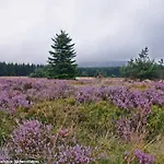 Sonnenheim Guest house Winterberg