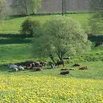 Guest house Sonnenheim 3*