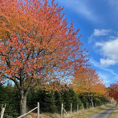 Affittacamere Sonnenheim