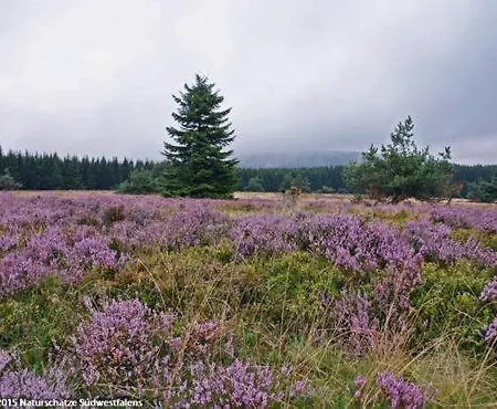 Sonnenheim Affittacamere Winterberg