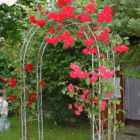 Affittacamere Sonnenheim