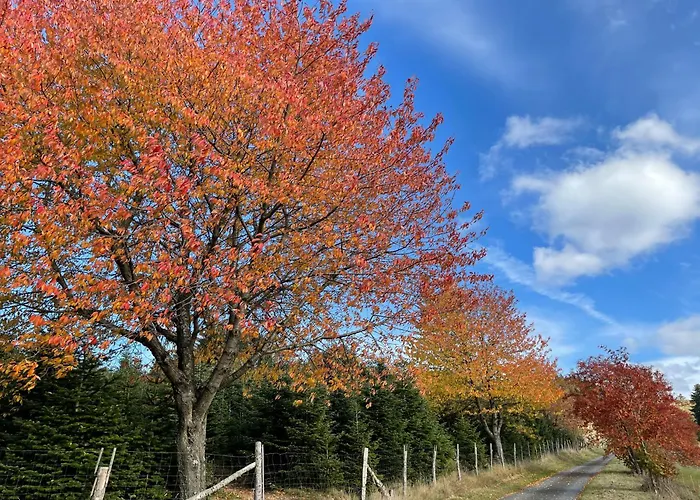 Affittacamere Sonnenheim