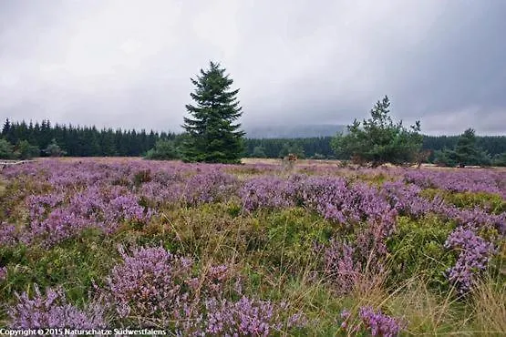Sonnenheim Affittacamere Winterberg
