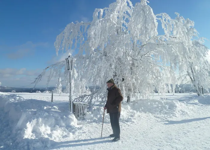 Affittacamere Sonnenheim Winterberg