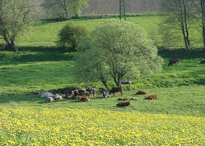 Guest house Sonnenheim 3*