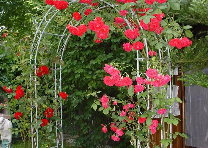 Affittacamere Sonnenheim